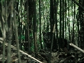 20110519041628