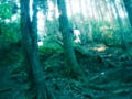 20110519041630