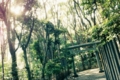 20110519042428