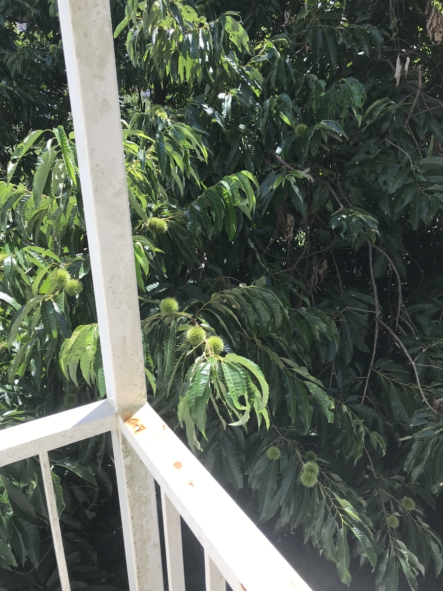 f:id:yukotreeX2:20190731211622j:plain f:id:yukotreeX2:20190731211622j:plain