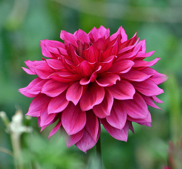 f:id:yukou-bookstudy:20210727230448p:plain