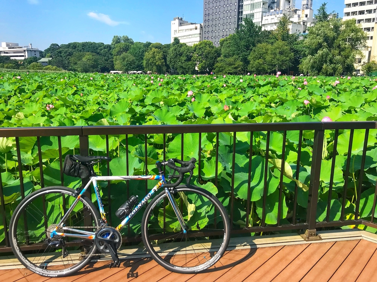 f:id:yukovelo:20190728214315j:plain:w300