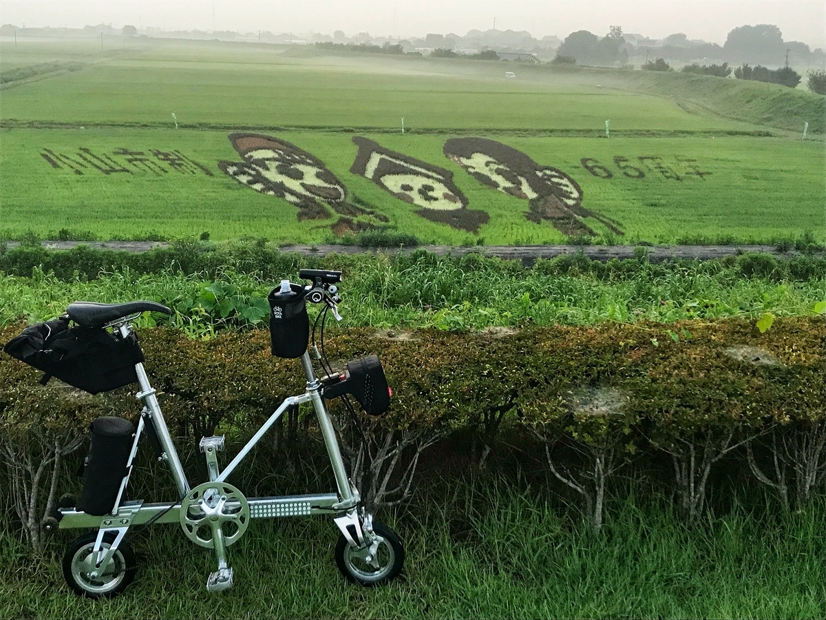 f:id:yukovelo:20190729144720j:plain:w300 f:id:yukovelo:20190729144720j:plain:w300