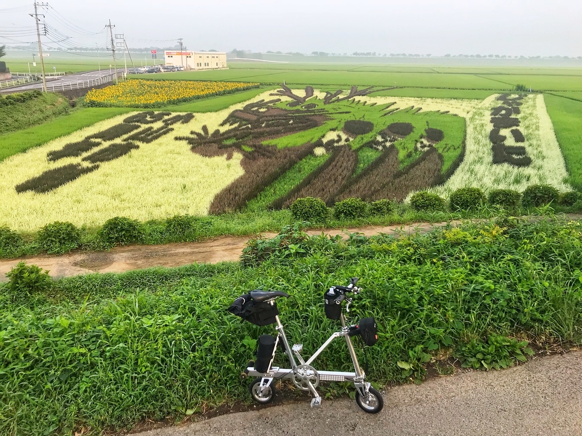 f:id:yukovelo:20190729145031j:plain:w300 f:id:yukovelo:20190729145031j:plain:w300