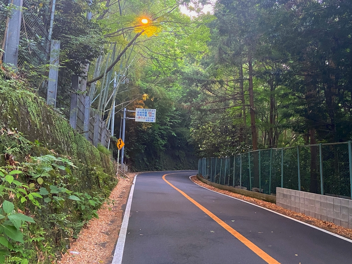 f:id:yukovelo:20200608202525j:plain:w300 f:id:yukovelo:20200608202525j:plain:w300