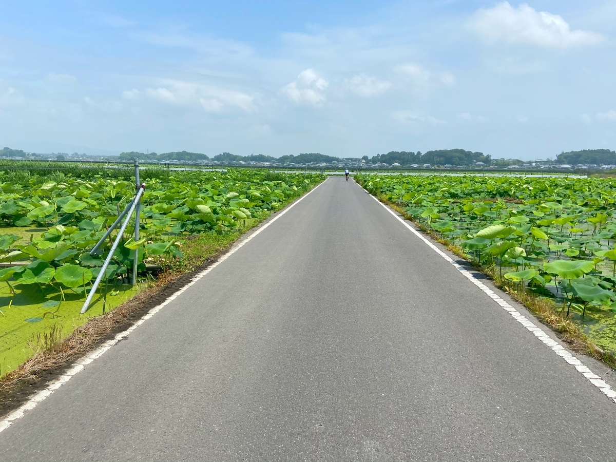 f:id:yukovelo:20200628111354j:plain:w300