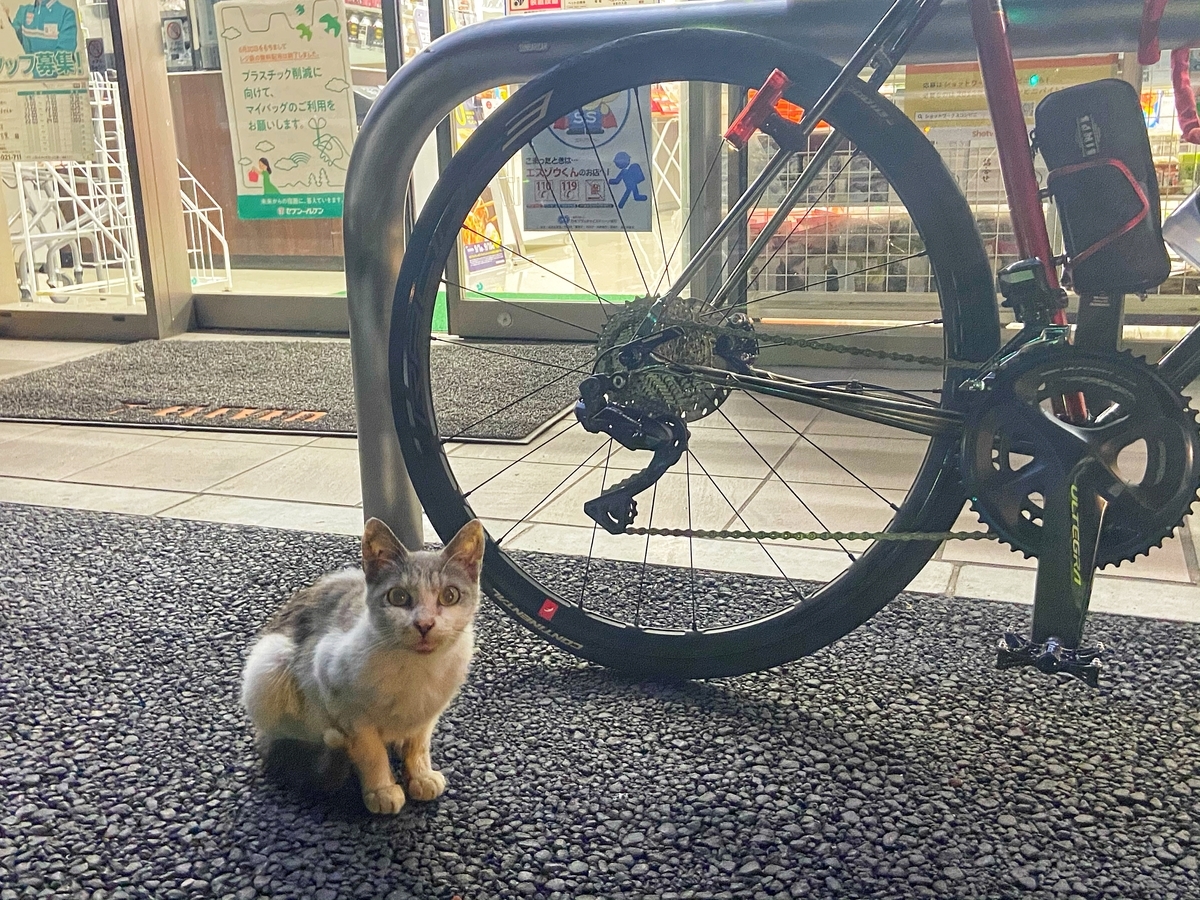 f:id:yukovelo:20200911130341j:plain:w300 f:id:yukovelo:20200911130341j:plain:w300