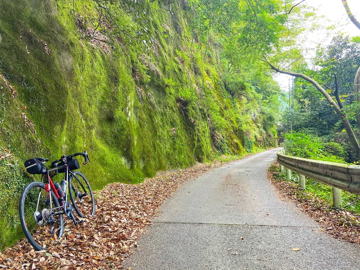 f:id:yukovelo:20200911134822j:plain:w300 f:id:yukovelo:20200911134822j:plain:w300