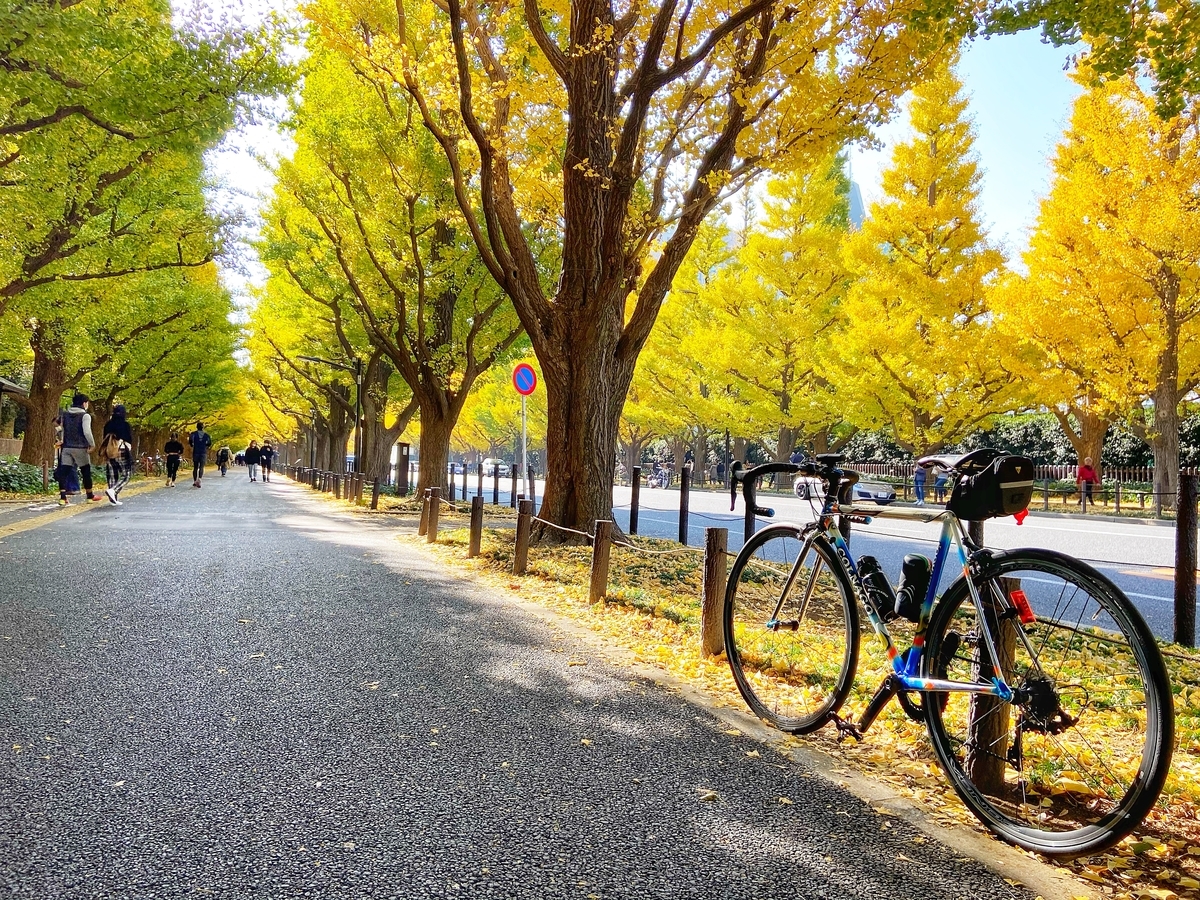 f:id:yukovelo:20201115164012j:plain:w300