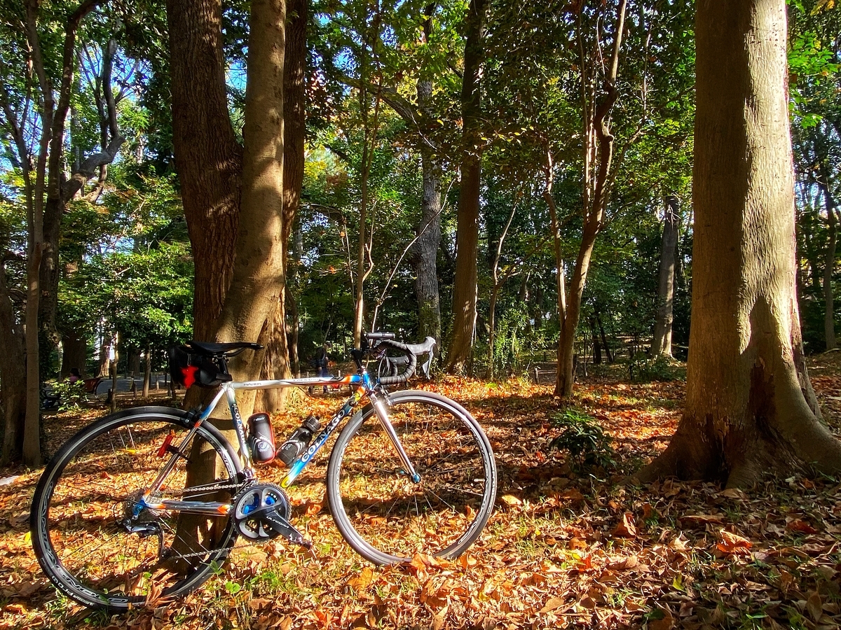 f:id:yukovelo:20201115165421j:plain:w300