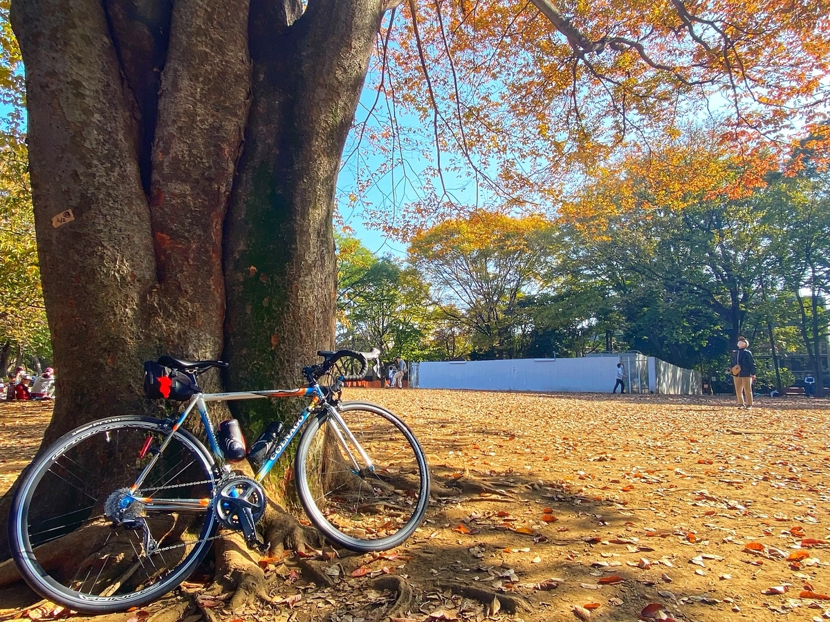 f:id:yukovelo:20201115165426j:plain:w300