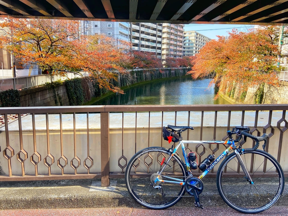 f:id:yukovelo:20201115165747j:plain:w300