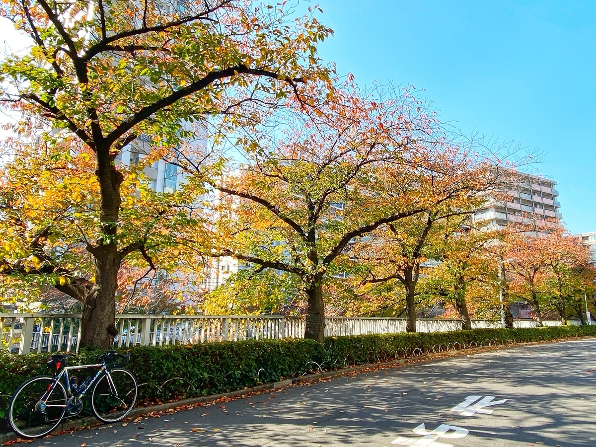 f:id:yukovelo:20201115165753j:plain:w300