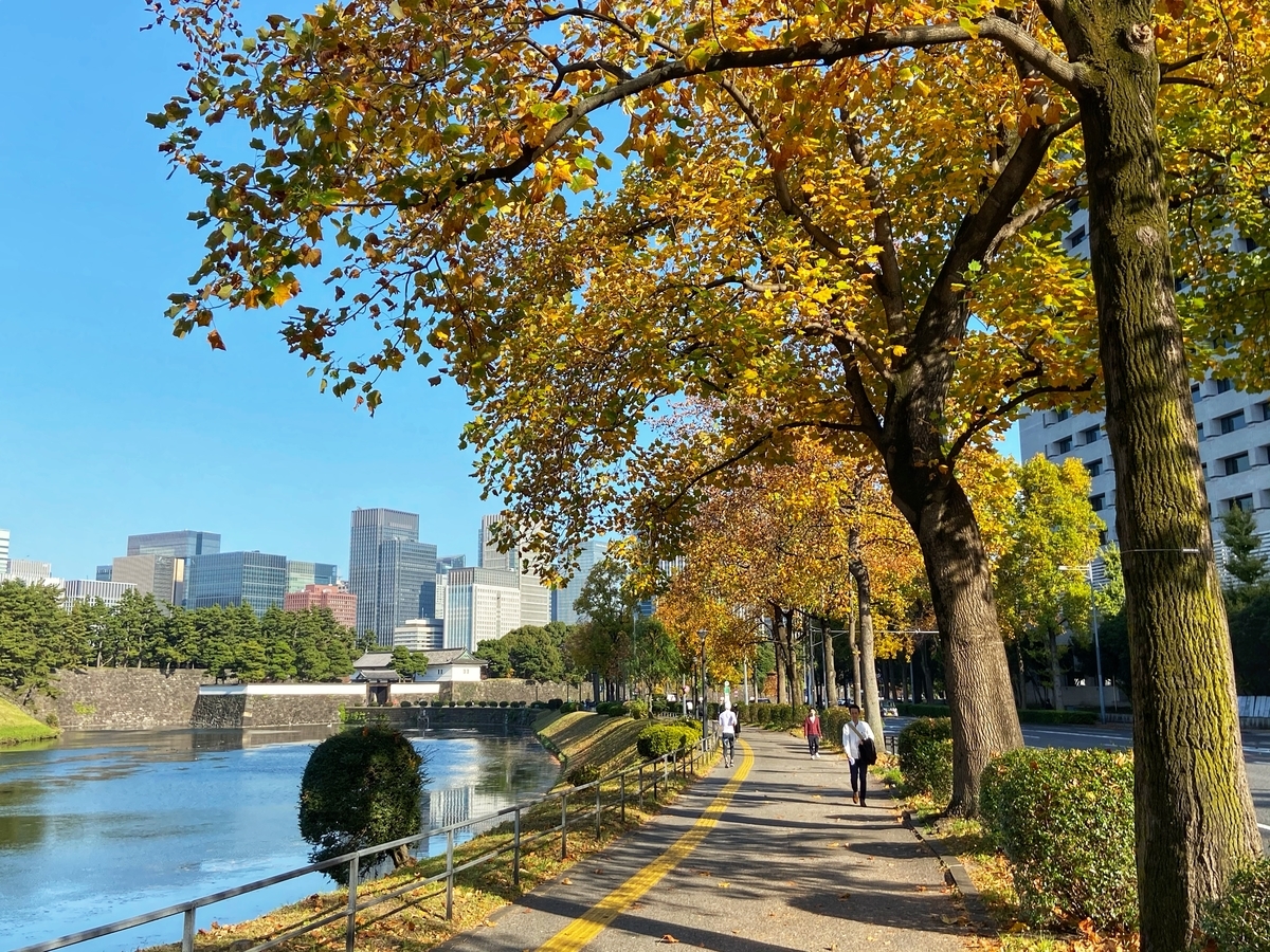 f:id:yukovelo:20201115170032j:plain:w300