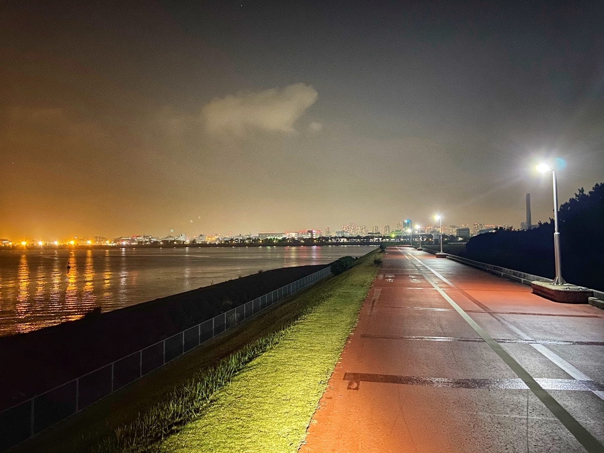 f:id:yukovelo:20201205164616j:plain:w300