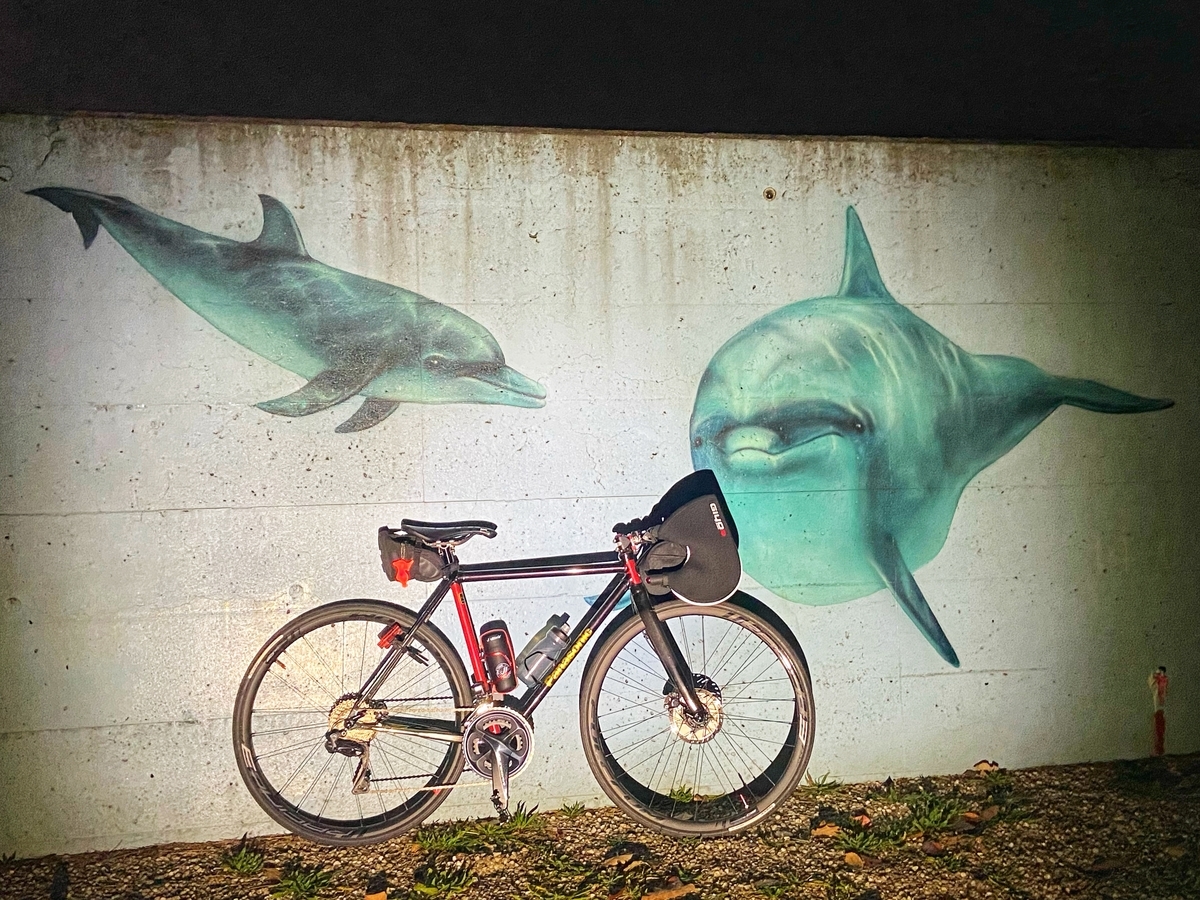 f:id:yukovelo:20201205171421j:plain:w300