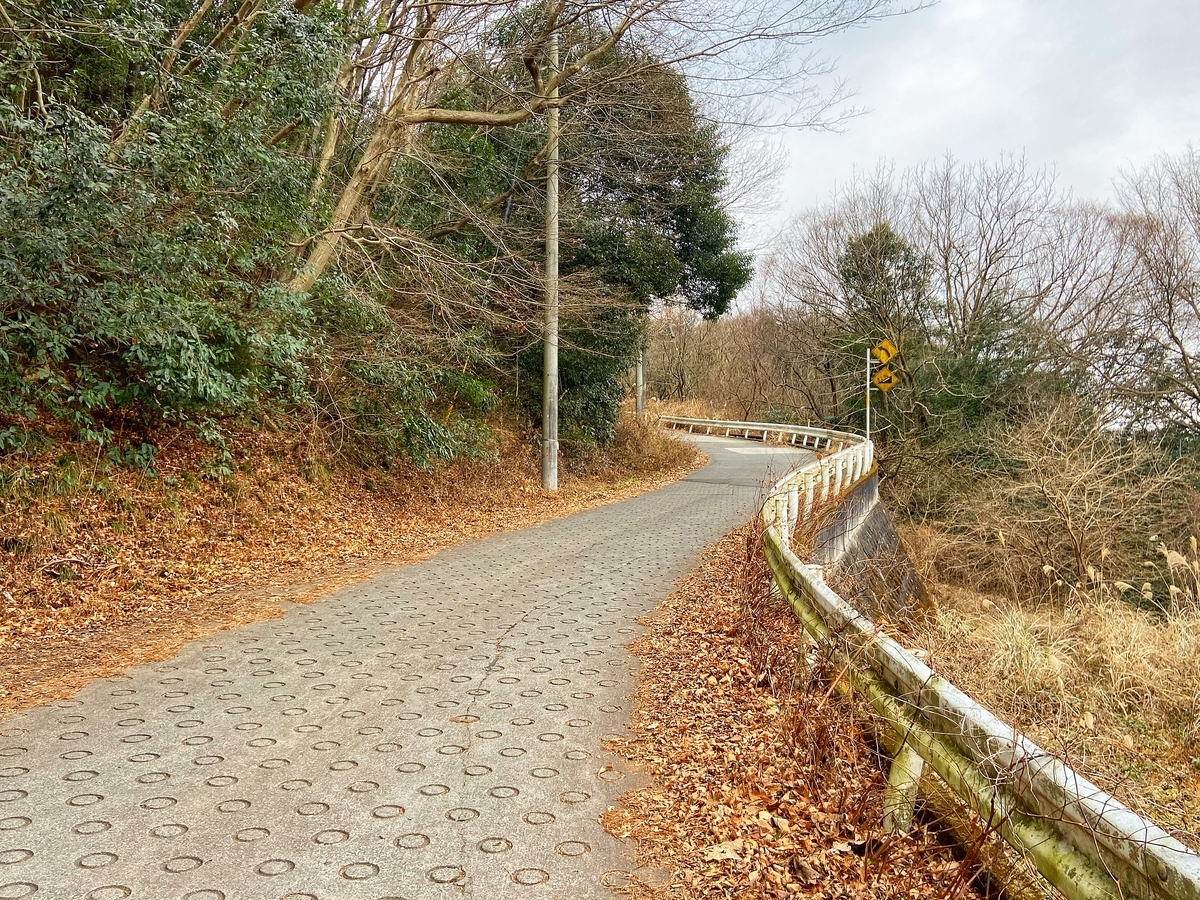 f:id:yukovelo:20210120182703j:plain:w300