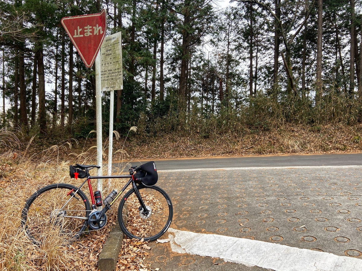 f:id:yukovelo:20210120182718j:plain:w300