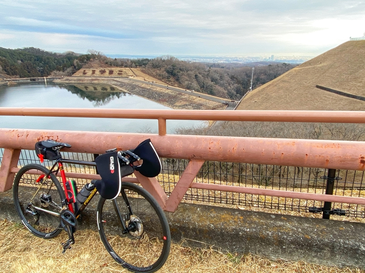 f:id:yukovelo:20210120183141j:plain:w300