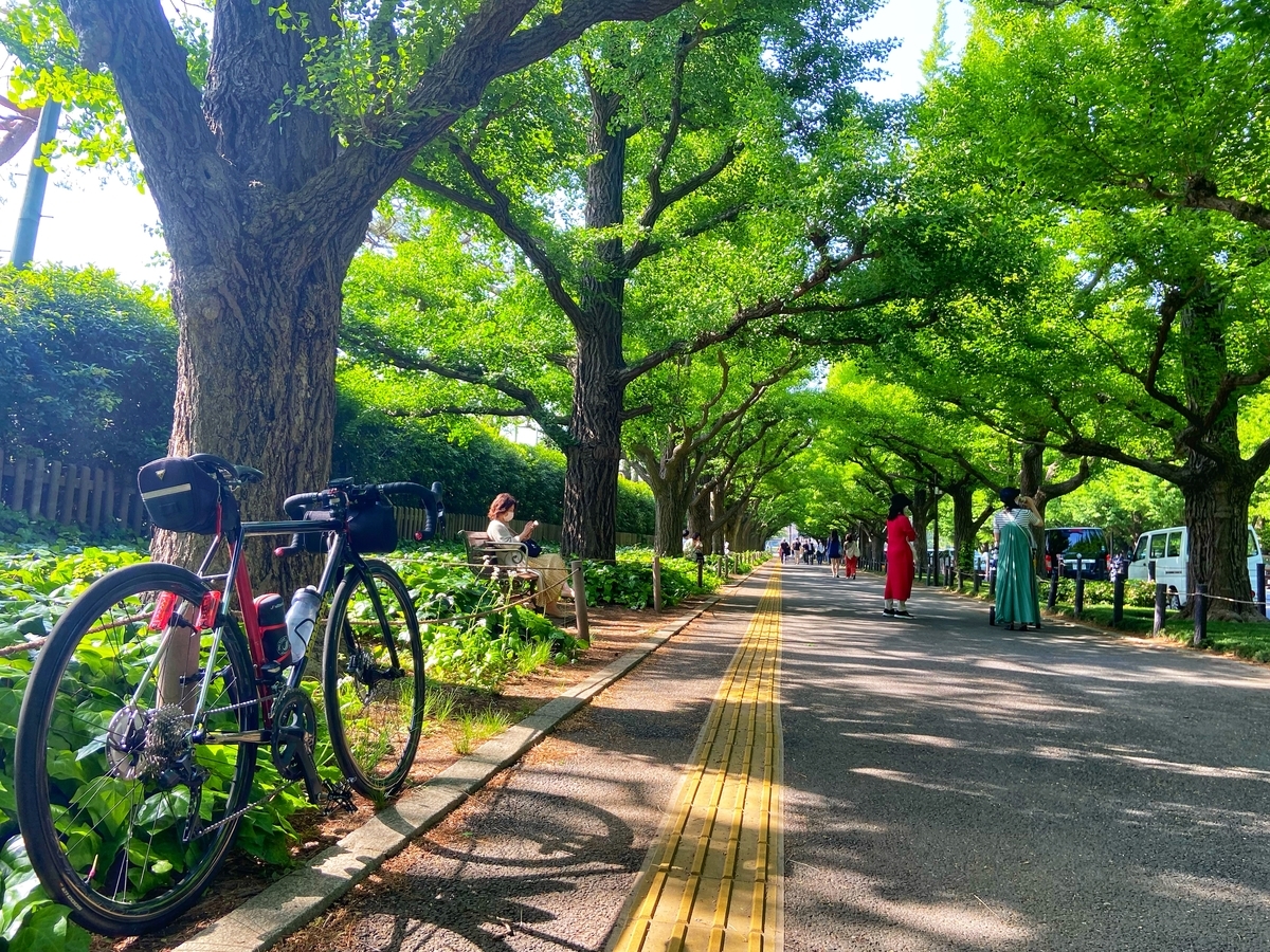 f:id:yukovelo:20210430201731j:plain:w300