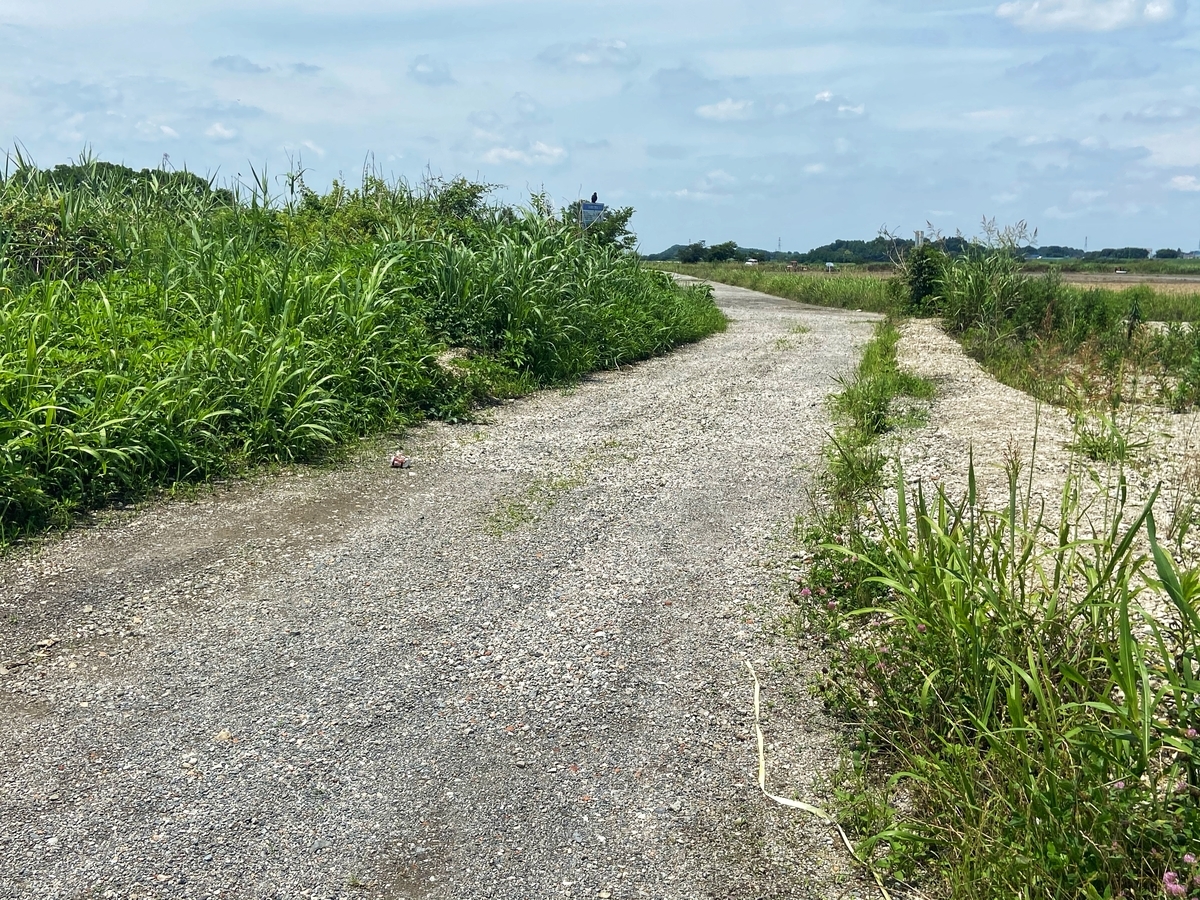 f:id:yukovelo:20210619195057j:plain:w300