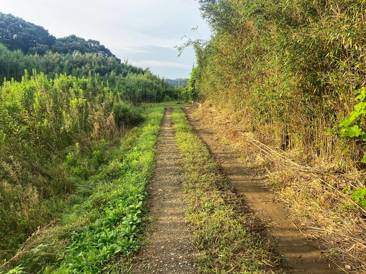 f:id:yukovelo:20210917115533j:plain:w300