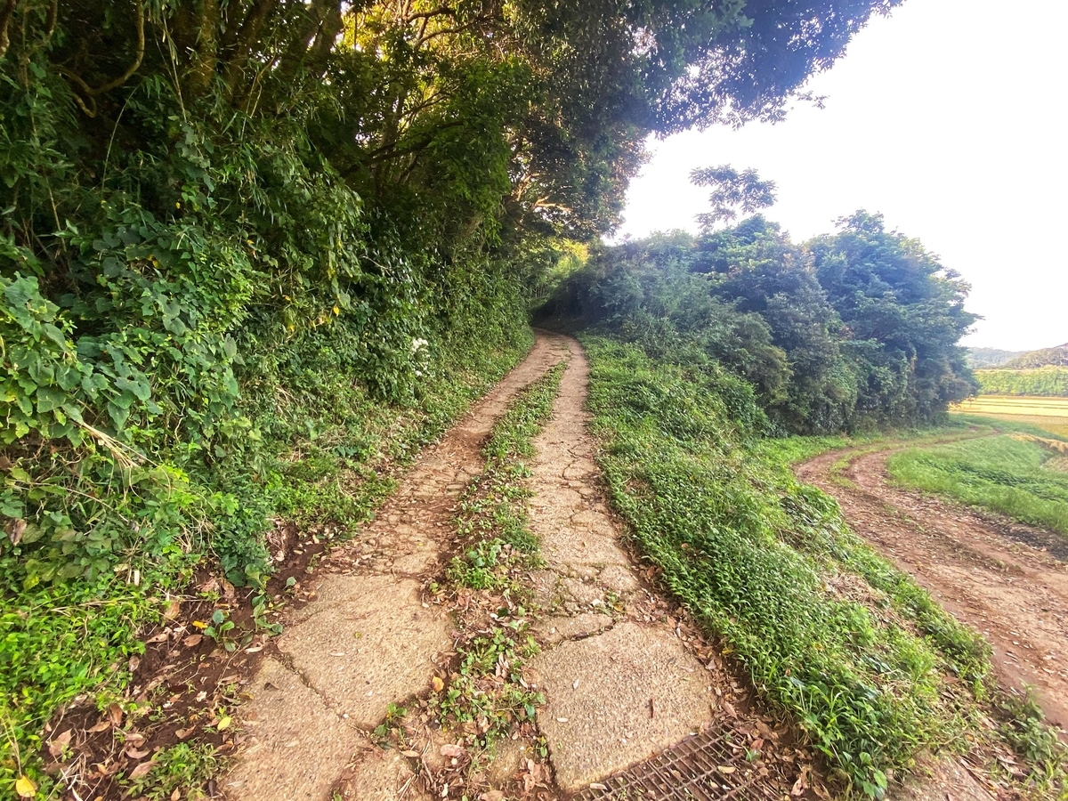 f:id:yukovelo:20210917120318j:plain:w300