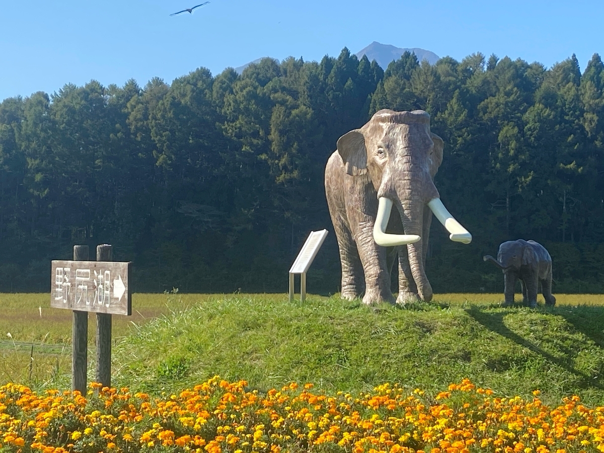 f:id:yukovelo:20211005145443j:plain:w300