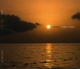 20070312202936
