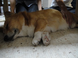 20100828185837