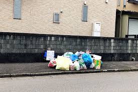 f:id:yukukawa-no-nagare:20210604083630j:plain