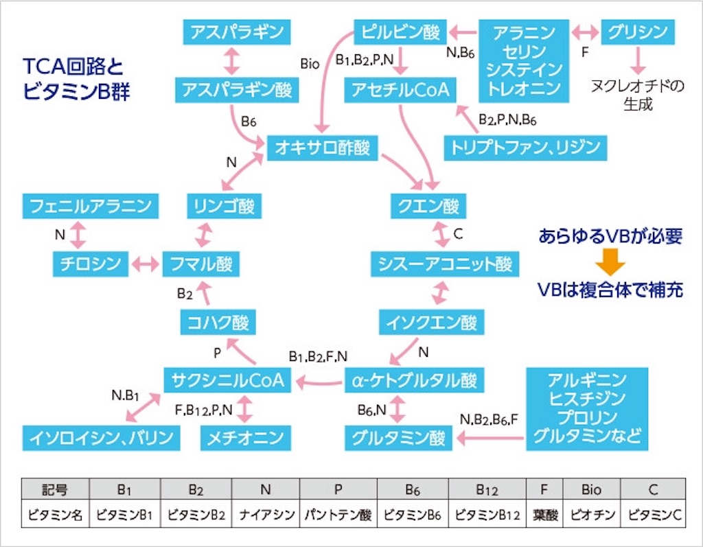 f:id:yukuma0721:20190516174106j:image