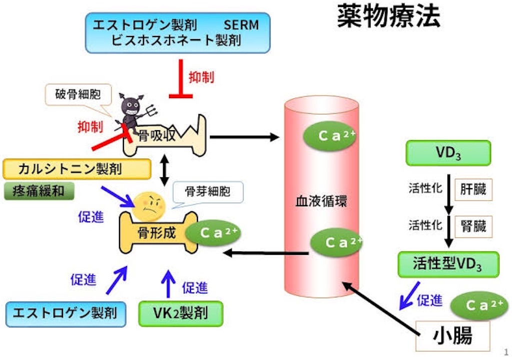 ぽかくま
