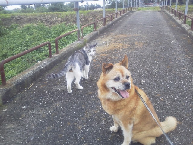 f:id:yukupa:20191212173438j:image f:id:yukupa:20191212173438j:image