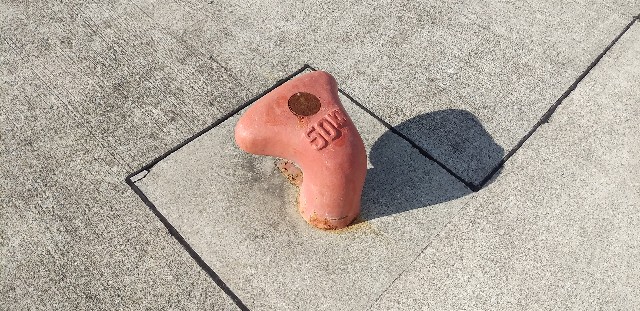 f:id:yukupa:20191228130026j:image f:id:yukupa:20191228130026j:image