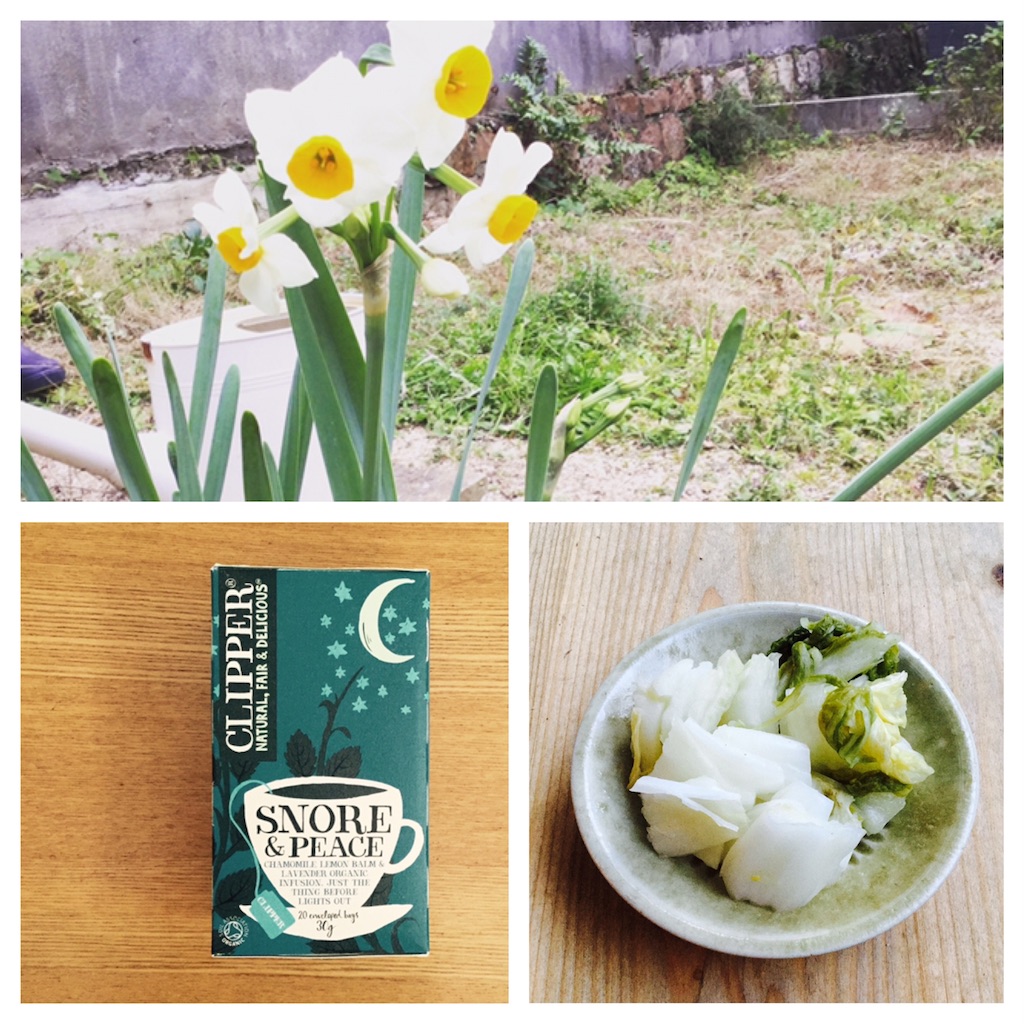 f:id:yukurinko:20170201193353j:image f:id:yukurinko:20170201193353j:image