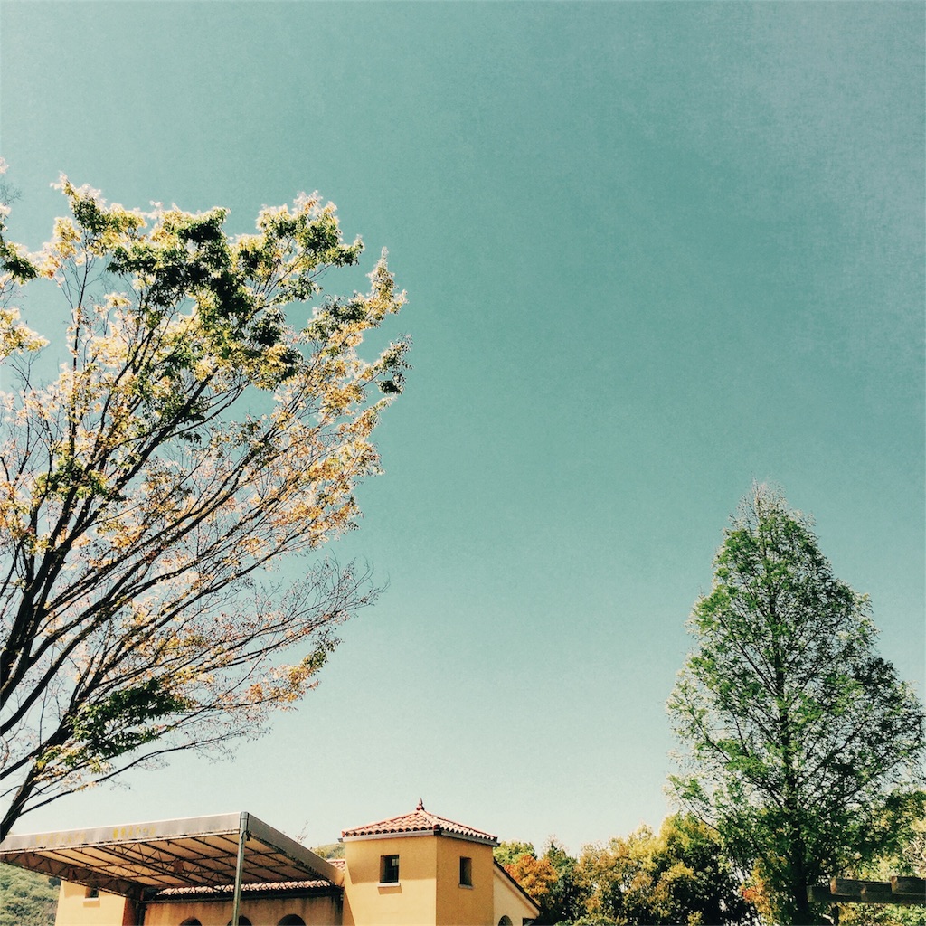 f:id:yukurinko:20170427193814j:image f:id:yukurinko:20170427193814j:image