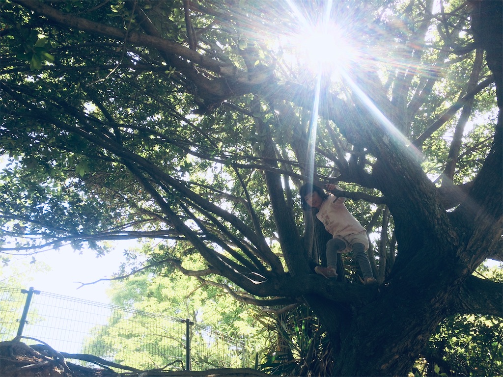 f:id:yukurinko:20190719203525j:image f:id:yukurinko:20190719203525j:image