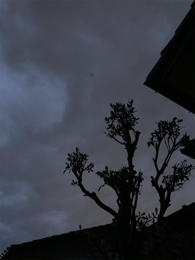 f:id:yukusora1:20240704072710j:image f:id:yukusora1:20240704072710j:image