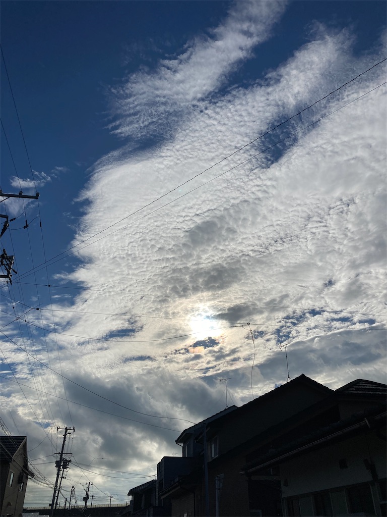 f:id:yukusora1:20240817175746j:image f:id:yukusora1:20240817175746j:image