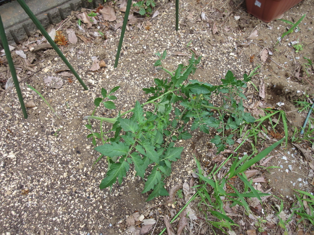 f:id:yulias:20180608142108j:plain f:id:yulias:20180608142108j:plain