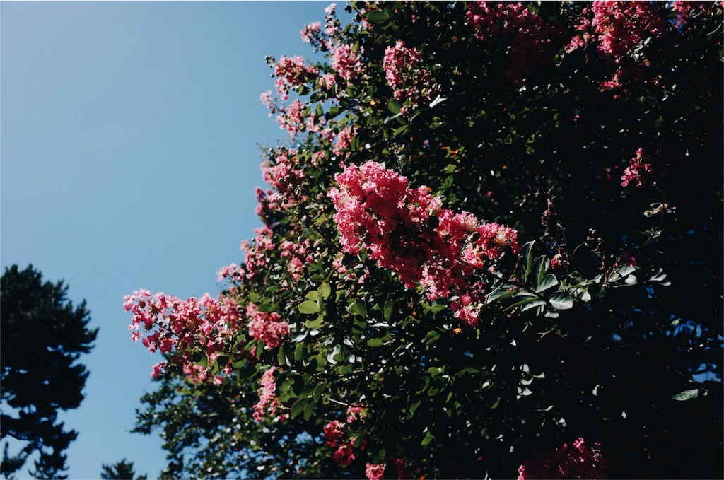 f:id:yulily100:20160831201439j:image f:id:yulily100:20160831201439j:image