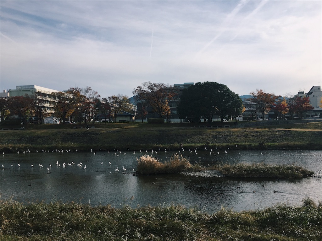 f:id:yulily100:20171122103809j:image f:id:yulily100:20171122103809j:image