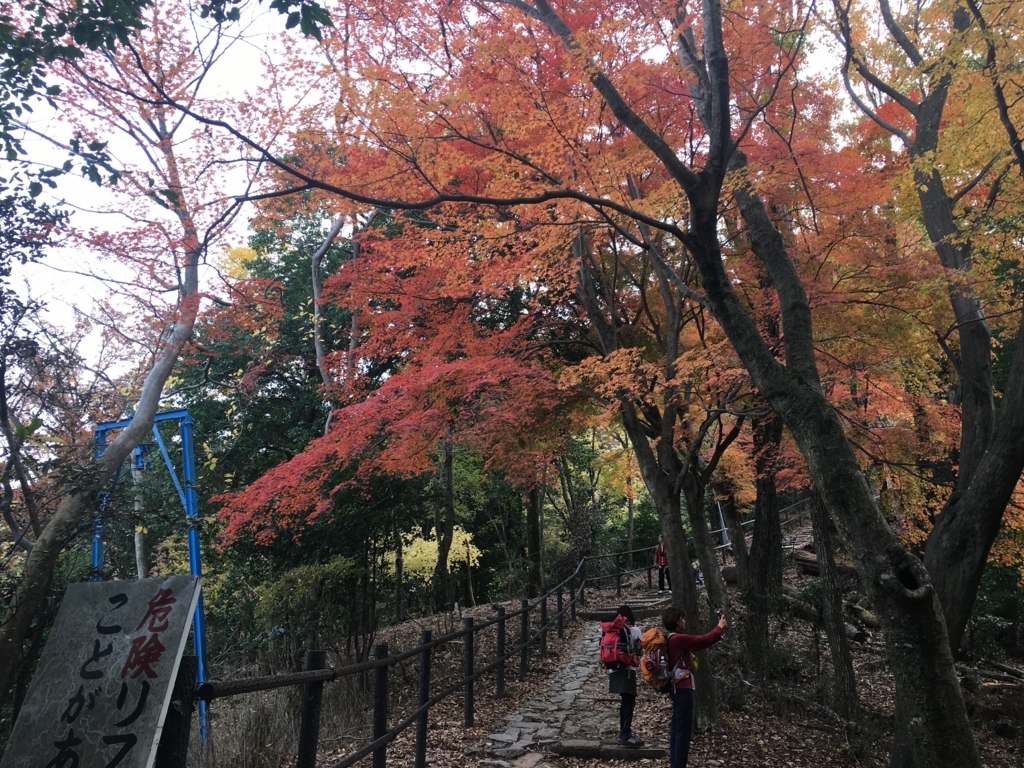 f:id:yulily100:20171126123441j:plain