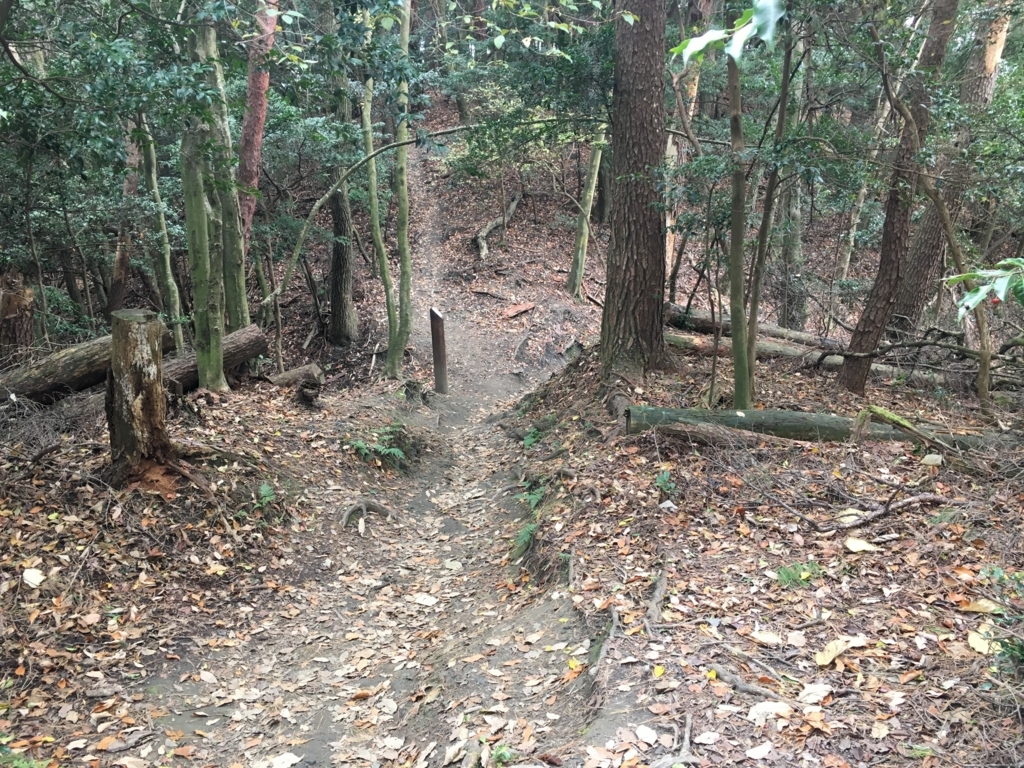 f:id:yulily100:20171126130450j:plain