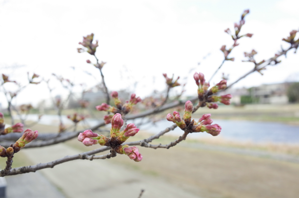 f:id:yulily100:20180323090632j:plain