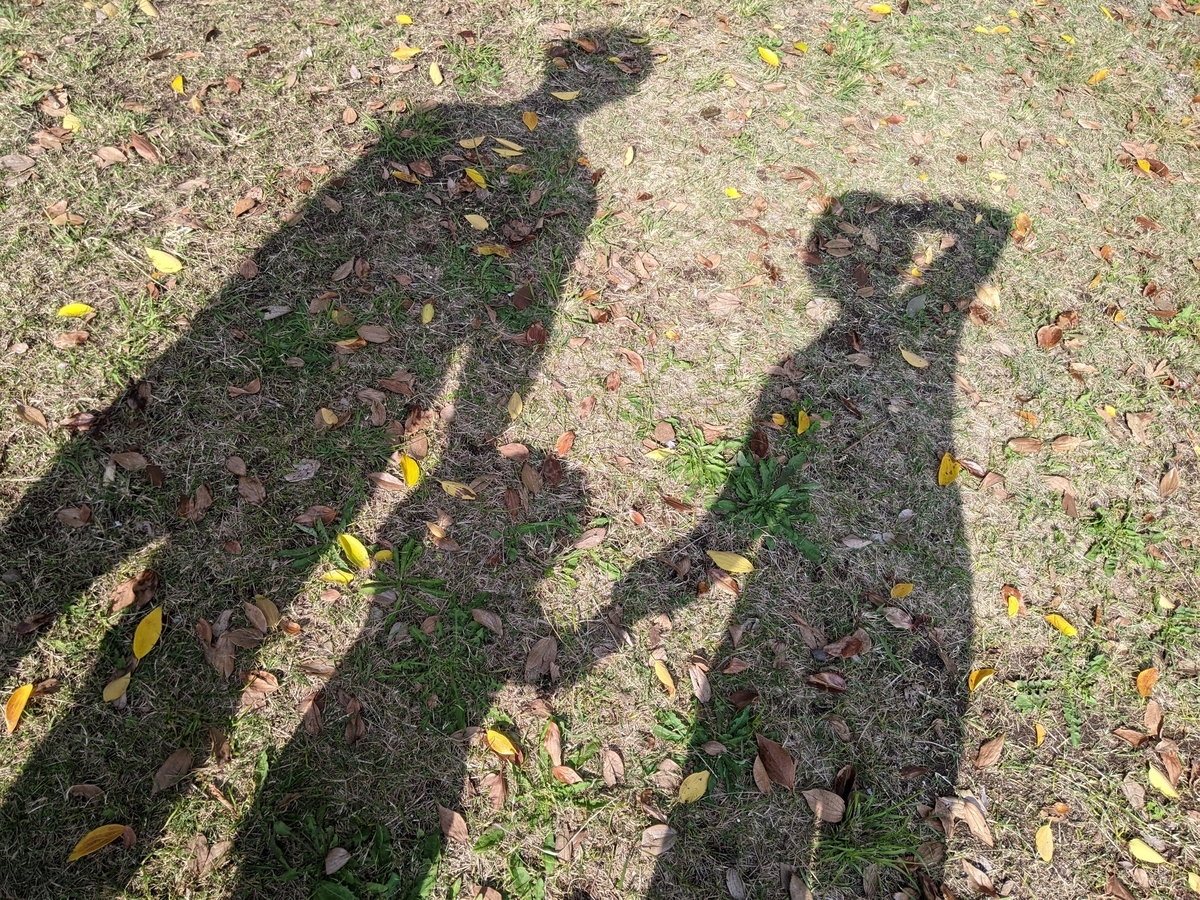 f:id:yulily100:20201108115840j:plain