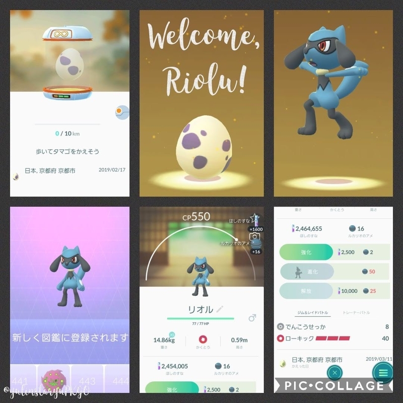 Welcome Riolu ポケモンgo Yuletide Blog