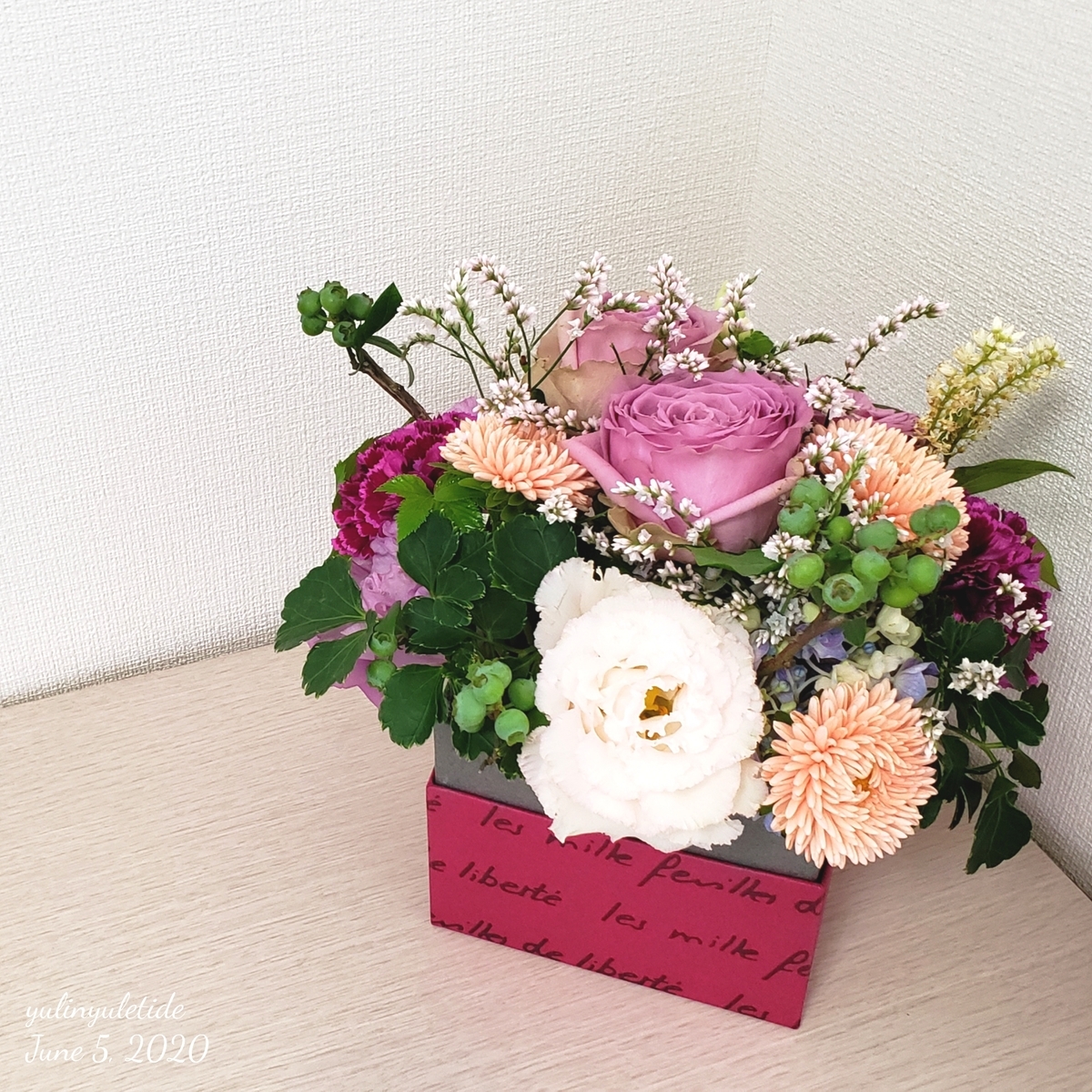 f:id:yulinyuletide:20201107184306j:plain