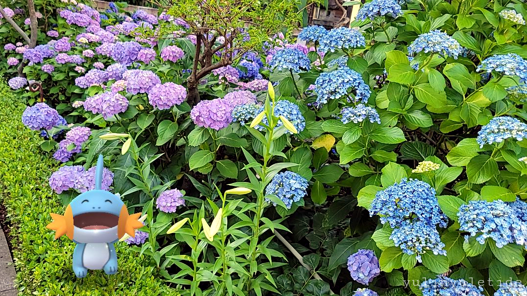 f:id:yulinyuletide:20210609152159j:plain